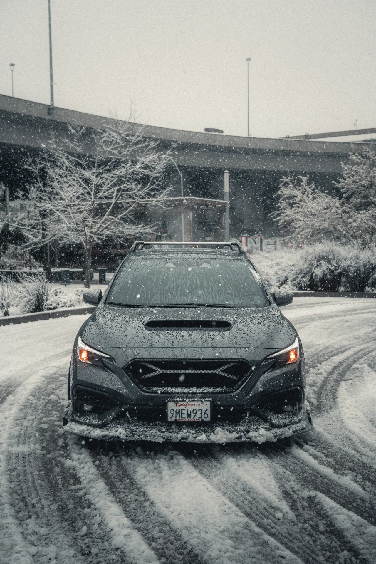 Subaru WRX photographed at Tacoma, Washington, 2026-03-13.